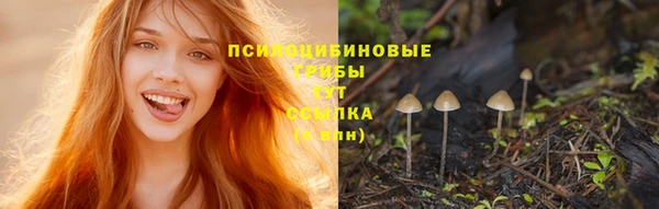 амф Зеленокумск
