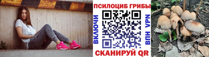Купить закладки  Глазов  Псилоцибиновые грибы ЛСД 